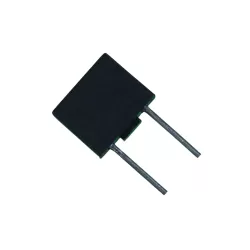 5A Rectangular Radial Micro Slow Blow Fuse