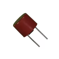 1A Round Radial Micro Slow Blow Fuse